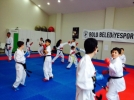 Belediye karate ekibi madalyalar iin Yalova yolcusu