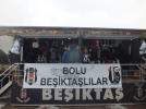 Kartal yuvas Boluda