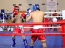 Kick Boks Trkiye ampiyonas sona erdi