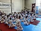 Karate ampiyonas tamamland
