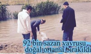 Gletlere 92 bin sazan