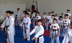 Karate kursuna byk ilgi