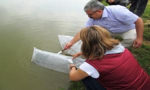 200 bin yavru suya brakld   