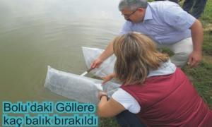 200 bin yavru suya brakld