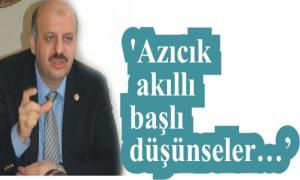 Azck akll bal dnseler