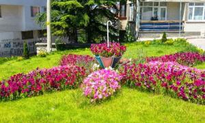 Geri dnleri muhteem oldu