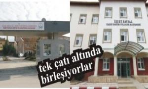 Kadn Doum ve Merkez nite tek at altnda