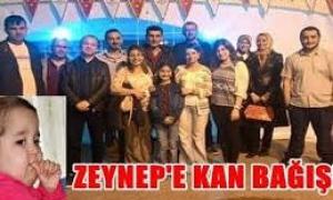 Drtdivandan Minik Zeynep iin kan ba