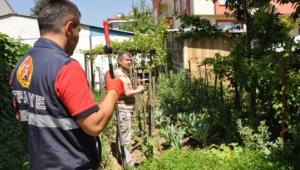 TFAYENN YILAN MESAS BALADI