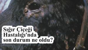 Sr iei Hastal'nda son durum ne oldu?