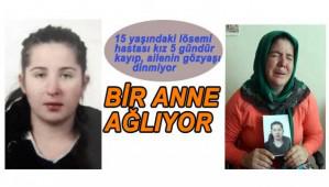 15 YAINDAK KIZ 5 GNDR KAYIP