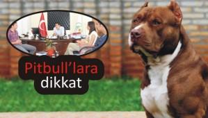 4 Bin 500 TL Para Cezas Var