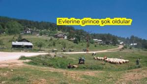 TAM BR HAYAL KIRIKLII