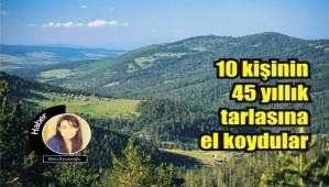 45 yllk tarlalara el konuldu