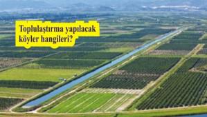 21 kyde toplulatrma yaplacak