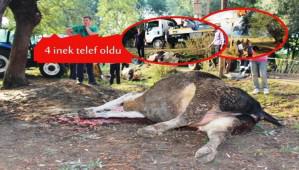 ELEKTRK AKIMINA KAPILAN 4 NEK TELEF OLDU