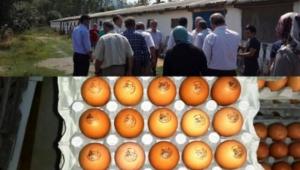 ORGANK YUMURTA N MUDURNU'YA GTTLER