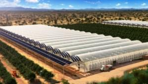 JEOTERMAL SERA'YA ZEL DAREDEN ZN IKMADI