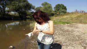 PATATES HASTALIKLARINA DKKAT!