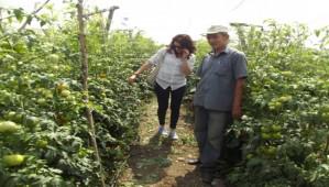 Zirai la Kalntsna Geit Yok