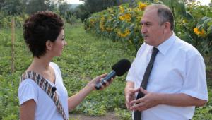 Gezgin, Bebek Meyve Orman'n gezdi