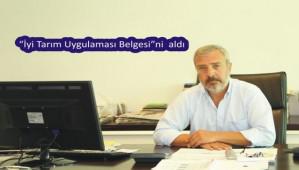 BOLCA HND KALTESN TESCLLED