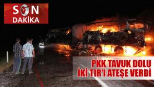 BEYPL'N TIRLARINI YAKTILAR