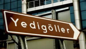 Yedigller yolunda almalar balad