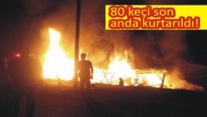 RETM GREVLSNN KELERN KYLLER KURTARDI