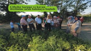 Bebek Meyve Orman tam not ald