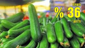 Zam ampiyonu "salatalk"