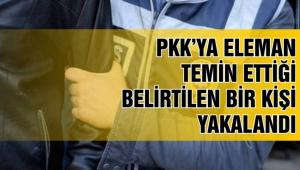 Bolu'da terr operasyonu