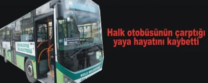 Halk otobs yayaya arpt