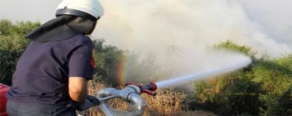 Kent ormannda anz yangn