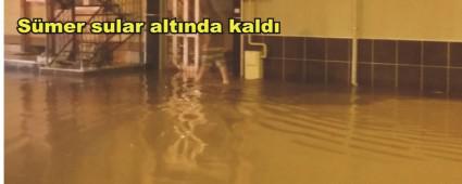 Smer sular altnda kald