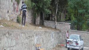 Okul Bahelerinde Temizlik