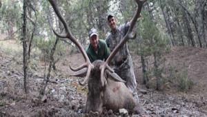 4 kzl geyik avlanacak