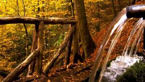 KURBAN BAYRAMI'NDA ZYARET AKININA URADI