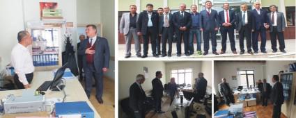 ORMAN KYLLERN OLACAK