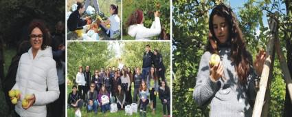 rnek baheden ilk hasatlarn topladlar