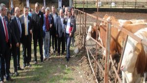 THAL DVELER SAHPLERNE TRENLE TESLM EDLD