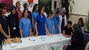 lmeden nce hayat verin