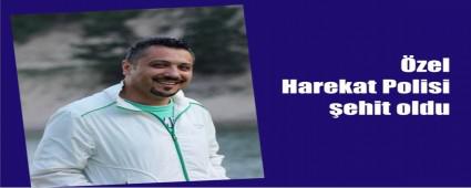 Komudan ac haber geldi