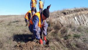 Yzlerce fidan toprakla bulutu