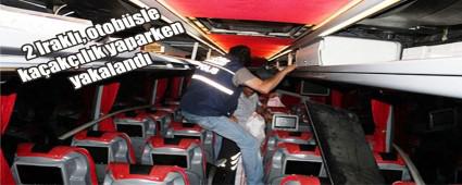 Otobsle kaaklk yaparken yakalandlar