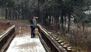 Abant'ta mevsimin ilk kar