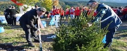 Aladalara 100 bin adet fidan