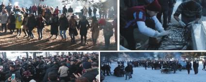 Abant'ta hamsi festivali