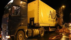 TEM otoyolunda tr yangn