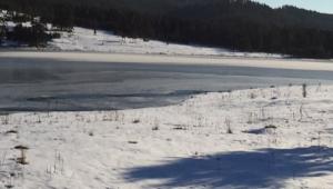 Alada Gleti buz tuttu